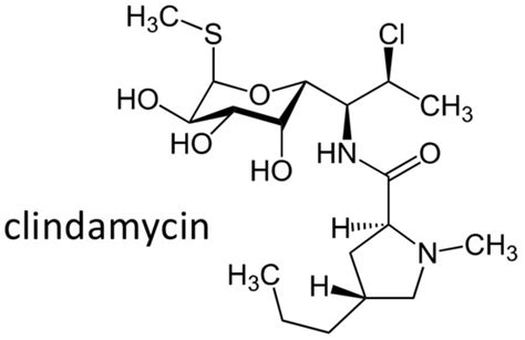 Pharmacogenomics of Antibiotics