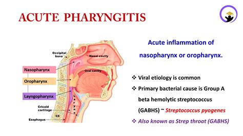 Acute Pharyngitis - Easy to learn and memorize drugs | PDF