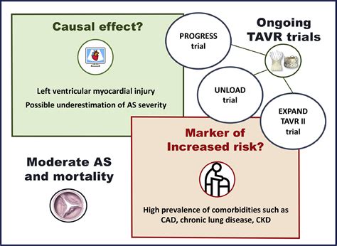 Moderate Symptomatic Aortic Stenosis: A New Trigger Point for Transcatheter Aortic Valve ...