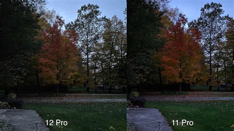 Image result for iPhone 12 vs 12 Pro Camera