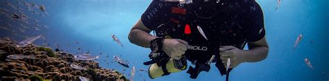 Experience the Underwater World with PADI Discover Scuba Diving in ...