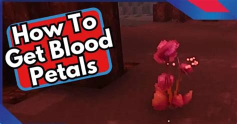 Hytale: Blood Rose location and uses