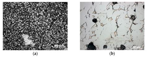 Sintering Behavior and Microstructure of TiC-Me Composite Powder ...