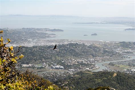 Mount Tam - East Peak | Hike & Shine