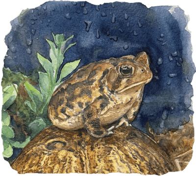 Natalie at midnight by Purring Turtle | Image gallery | Sticker Mule India