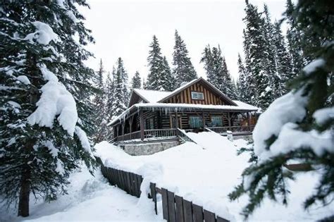 NITYA BEACH HUTS & SHACK (Goa/Calangute) - Ranch Reviews & Photos ...