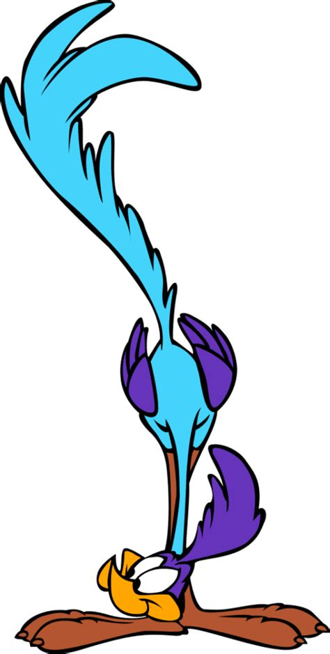 Road Runner Cartoon Drawing 的图像结果