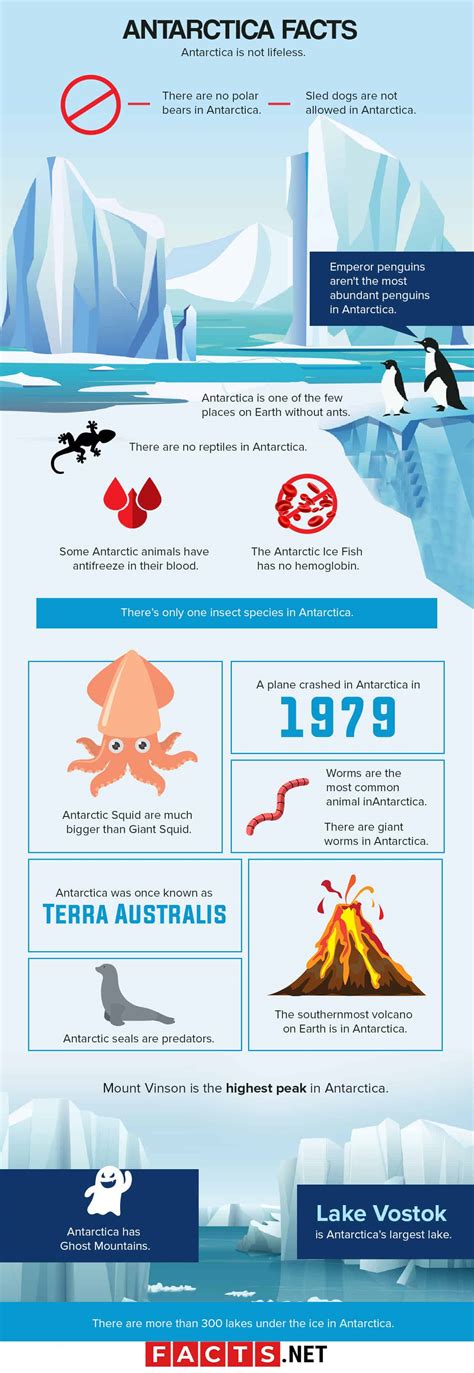 Fun Facts About Antarctica