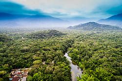 Climate Crisis Alert: Africa’s Forests Shift from Carbon Sink to Major ...