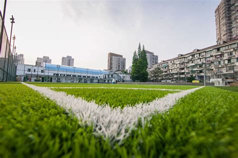 Earth Green Color Artificial Grass 20mm Firm and Durable Synthetic ...