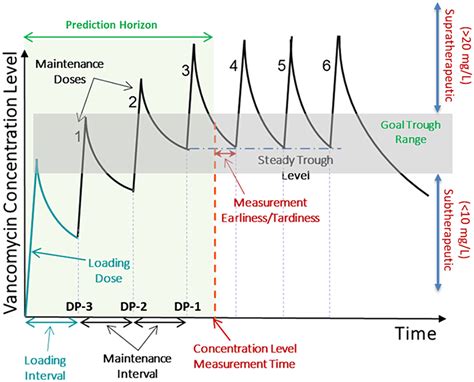 Determining steady-state trough range in vancomycin drug dosing using ...