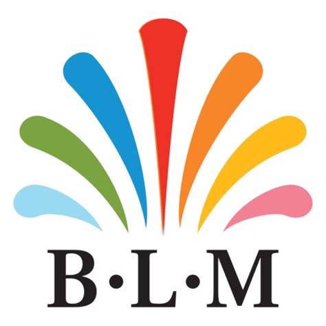 BLM - Elevate Your Space with Stylish Textiles for Every Room