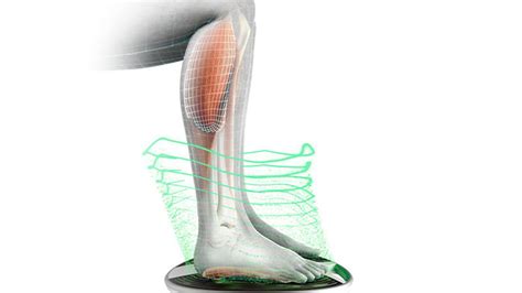 Image result for Revitive Scam