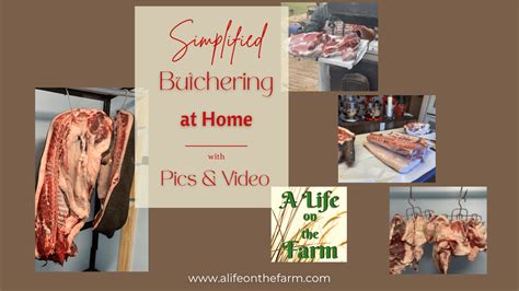 Butchering Meat 的图像结果