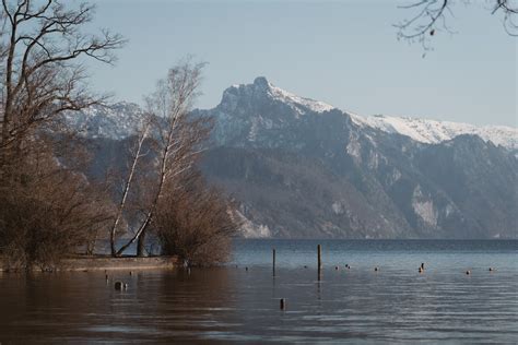 Screen Background 的图像结果