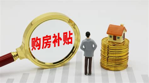 温州：购房者年内购买首套房可获合同总价0.6%的财政补贴_国内新闻_湖南红网新闻频道