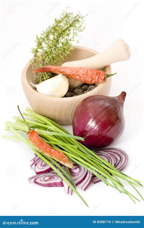 Herbs, Spices, Onion, Garlic Stock Photo - Image of glossy, cooking ...