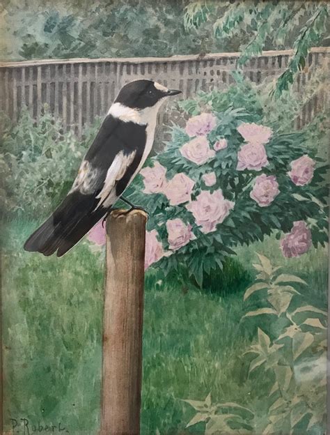 @amare-habeo on Tumblr