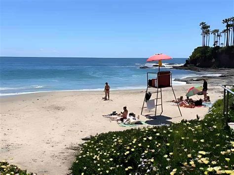 Laguna Beach Dog Rules 2026 | Pet Policy Orange County, CA