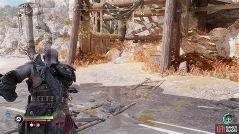 What Kills Lizards Instantly