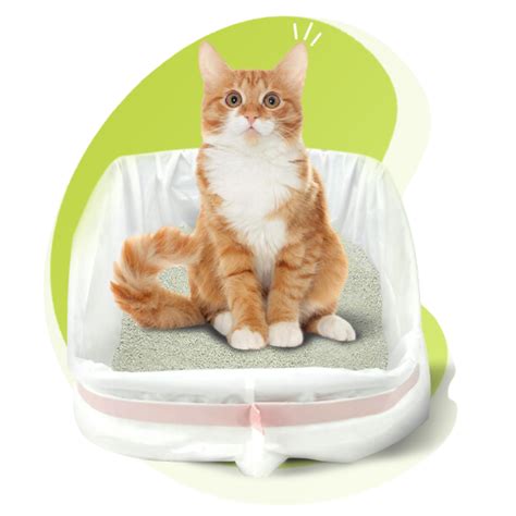 JONNY CAT Heavy Duty Litter Box Liners, Jumbo, 5 Liners-Box - Walmart.com