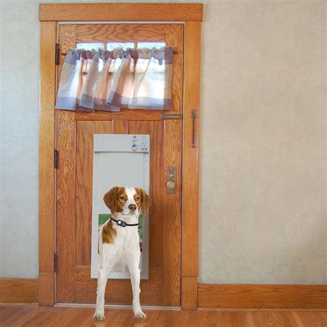 Power Pet Electronic Dog Door - High Tech Pet Electronic Pet Doors ...