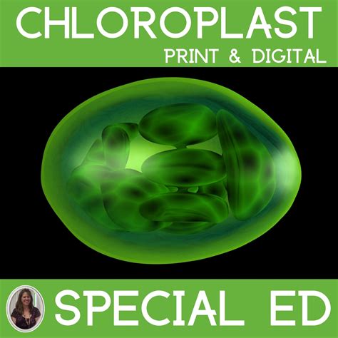 Chloroplasts and Photosynthesis Cell Organelle Unit for Special ...