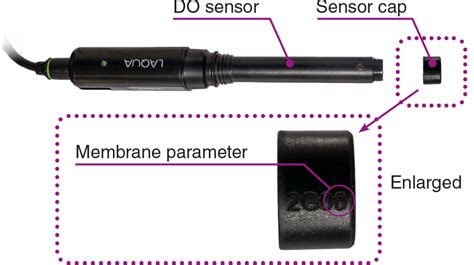 Frequently Asked Questions on 300-D-X Optical DO Sensor - HORIBA