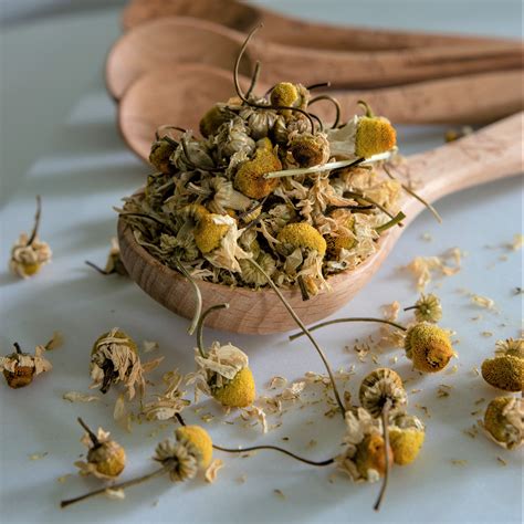 It's by KAIA │ Supporting Breastfeeding Mothers – Kaia