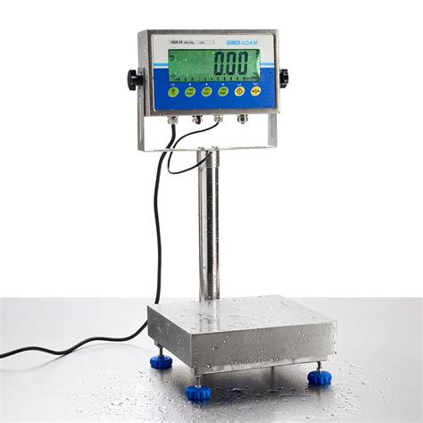 A Complete Guide to Food Industry Scales - Klipspringer