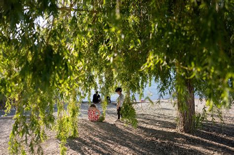besuchen | Anreise, Führungen & Entdeckungen | aspern Seestadt