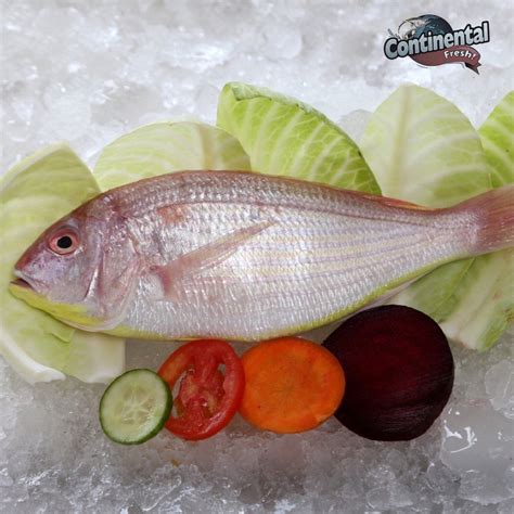 Thread-Fin Bream(Cleaned without head, gut & tail)(Gross wt: 650 gms ...