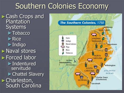 Economics In Southern Colonies
