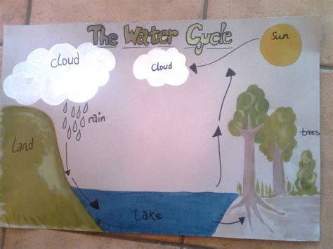 School poster - water cycle | Poster design, Water cycle poster, School ...