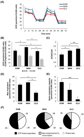 Chronic Hyperglycemia Compromises Mitochondrial Function in Corneal ...