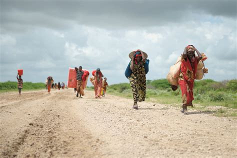Environmental Justice Foundation | Beyond Borders