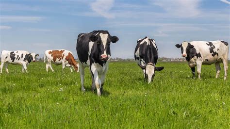 Agriculture Loans - Farm Loans in Illinois | Eureka Savings Bank