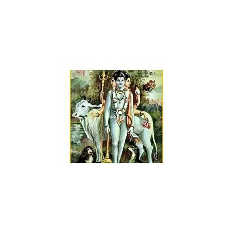Essence of spiritual India: photographs of Revered Saints and Siddhas ...