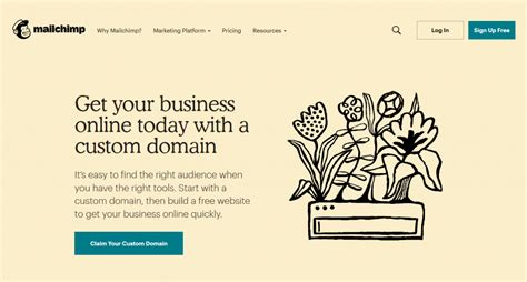 Best Newsletter Programs 的图像结果