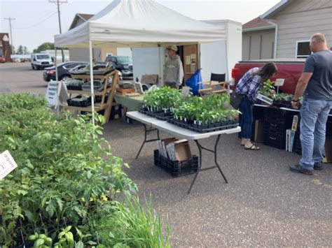 Medford Farmers... - Medford Farmers Market of Wisconsin