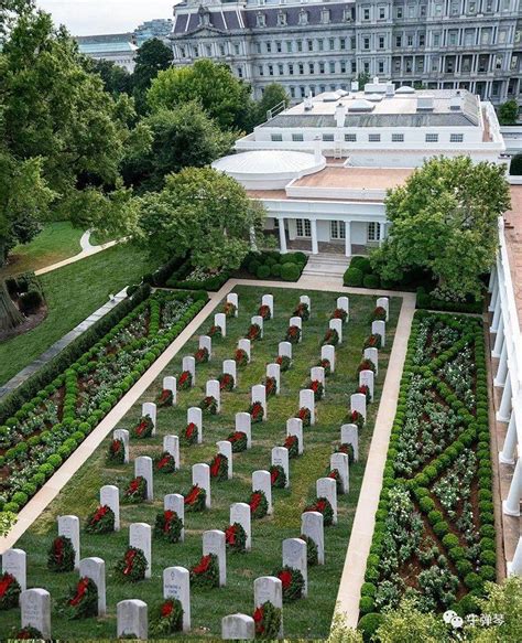 白宫 的图像结果