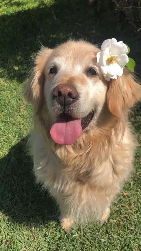 Animal Lover on Twitter: "OMG https://t.co/QlbF8Gf3OU" / Twitter