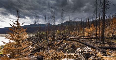 Wildfire Map Spotlight: Red Canyon Fire, Wyoming, USA