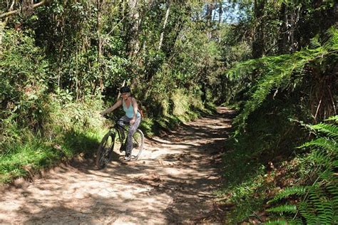 2023 Bicycle rental in Horto Florestal - Campos do Jordão