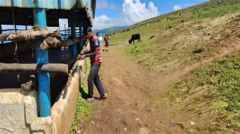 Inam Dattatreya Peetha: ದತ್ತಪೀಠದ ಹೋಮ ಮಂಟಪದಲ್ಲಿ ಮಾಂಸಾಹಾರ ಅಡುಗೆ; ಹಿಂದೂ ...