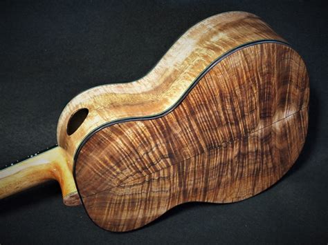 Image result for Hula Ukulele Tutorial