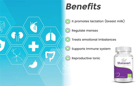 Natures Velvet Pure extract shatavari 500mg - 60 Capsules : Amazon.in ...