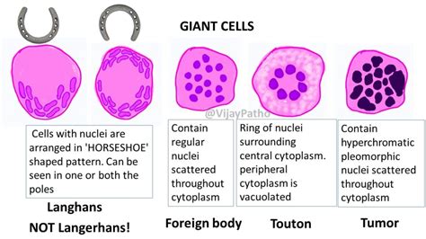 Image result for Alien-Looking Weapons
