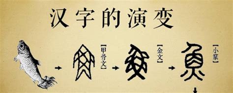 中国汉字的演变过程 - 业百科