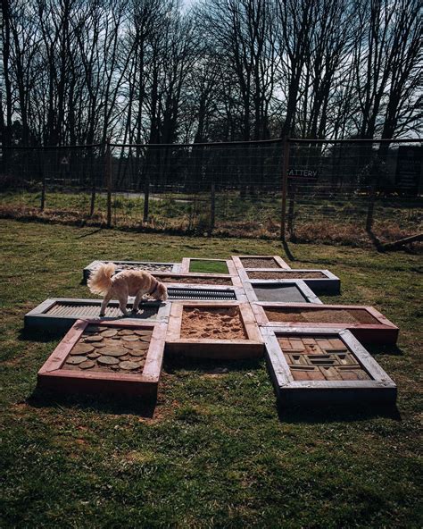 All the sniffs building a sensory garden for dogs – Artofit
